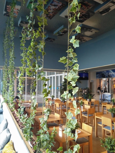Commercial Project, Project Management, Retail, Hotels / Restaurants, Interior Architecture & Design, Renovation, Futuristic