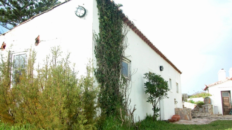 Project Management, Building Upgrades, Restoration, Feasibility Studies, Single-Family Homes, Passive House / Eco-friendly, Farmhouse, Exterior, New Build, Renovation, Traditional