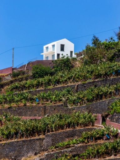 Restoration, Single-Family Homes, Interior Architecture & Design, Minimalist, Contemporary, modern